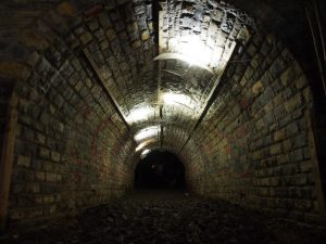 Greenpeace at Glastonbury 2016 - Tunnel Birds