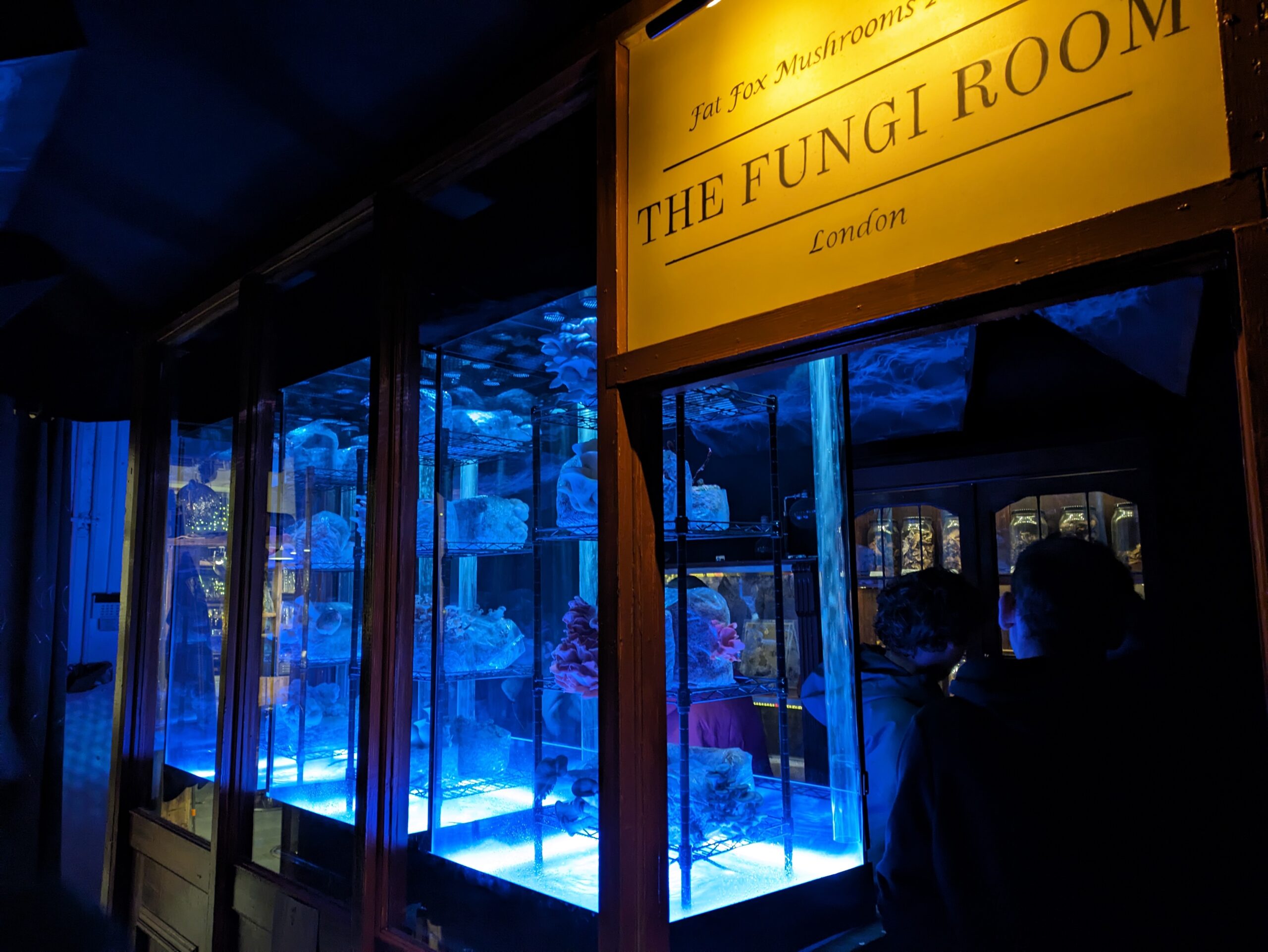 a sign with The Fungi Rooms illuminated in a warm glow with mushroom cultivation tanks with blue light trailing off to the left