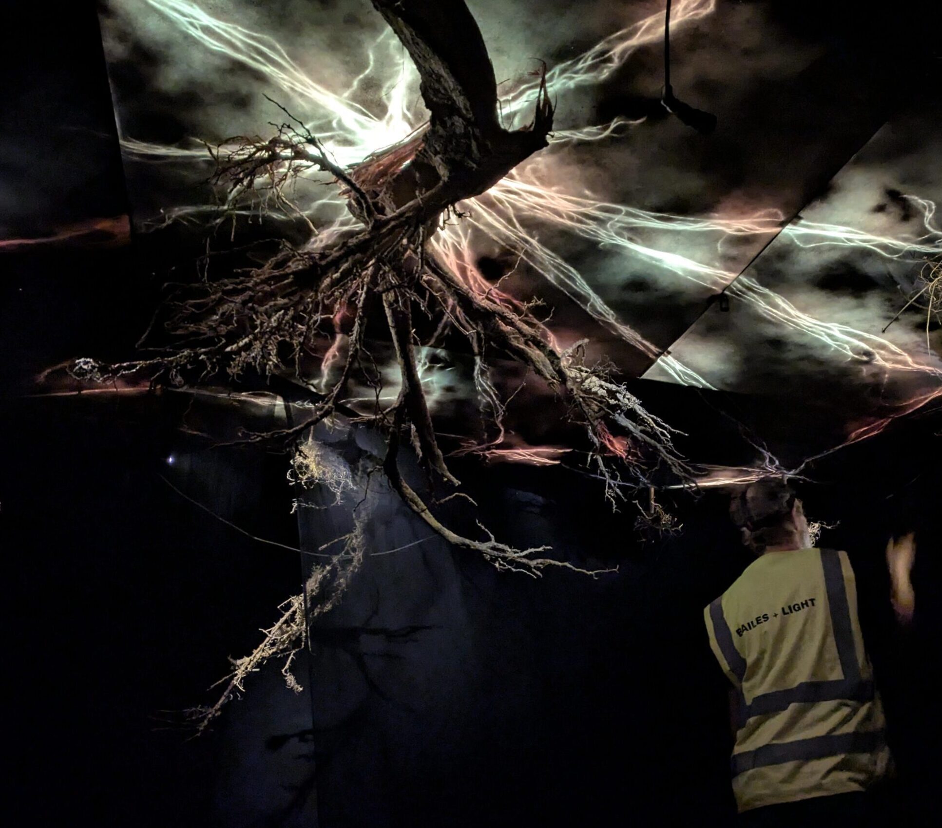 person on a ladder under a root at the rhizosphere at glastombury festival in shangri-la